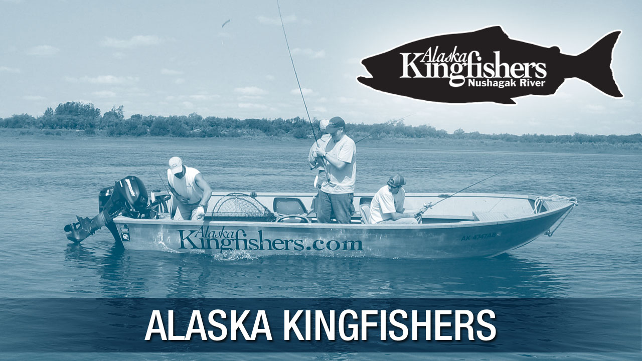 Alaska Kingfishers