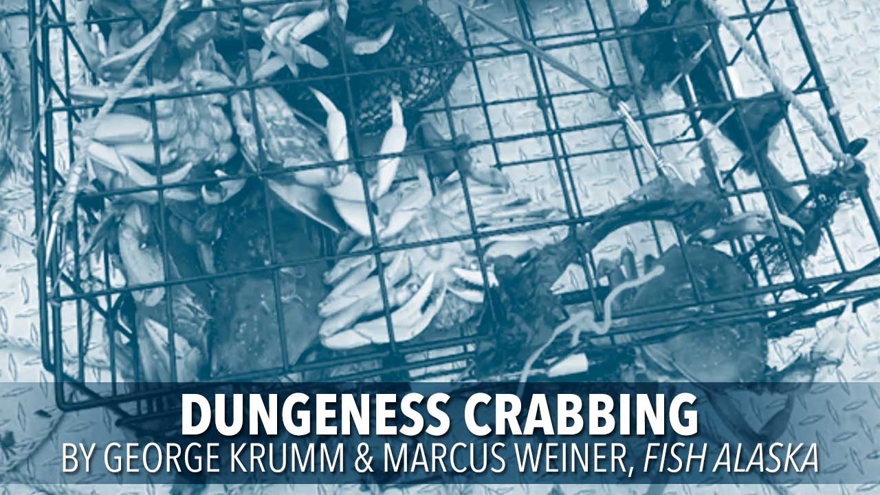 dungeness crabbing